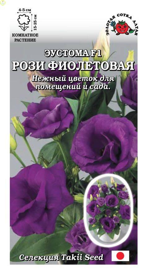 Купить оптом в Ботанике семена Эустома Рози фиолетовая ЗС бренд Золотая сотка