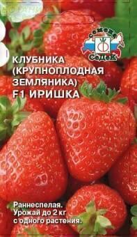 Купить оптом в Ботанике семена Клубника Иришка F1 Сед бренд СеДеК