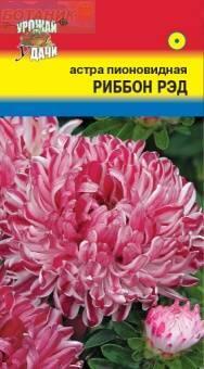 Купить оптом в Ботанике семена Астра Риббон ред УУ бренд Урожай Удачи