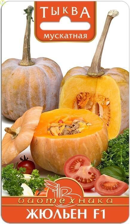 Купить оптом в Ботанике семена Тыква Жюльен F1 Био бренд Биотехника