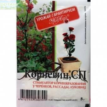 Купить оптом в Ботанике Корневин 5 г (250)