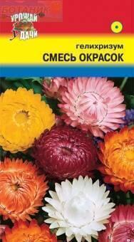 Купить оптом в Ботанике семена Гелихризум Смесь* УУ бренд Урожай Удачи