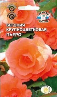 Купить оптом в Ботанике семена Бегония Пьеро крупноцветковая махровая Сед бренд СеДеК