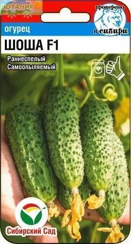 Купить оптом в Ботанике семена Огурец Шоша F1 CC бренд Сиб.сад