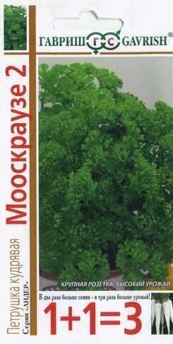 Петрушка Мооскраузе.jpg