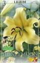 Лилия Хонеймун 16/+ 3 шт 