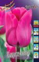 Тюльпан Барселона 10 шт