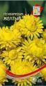 Бессмертник (гелихризум) Монстроза желтый ССО