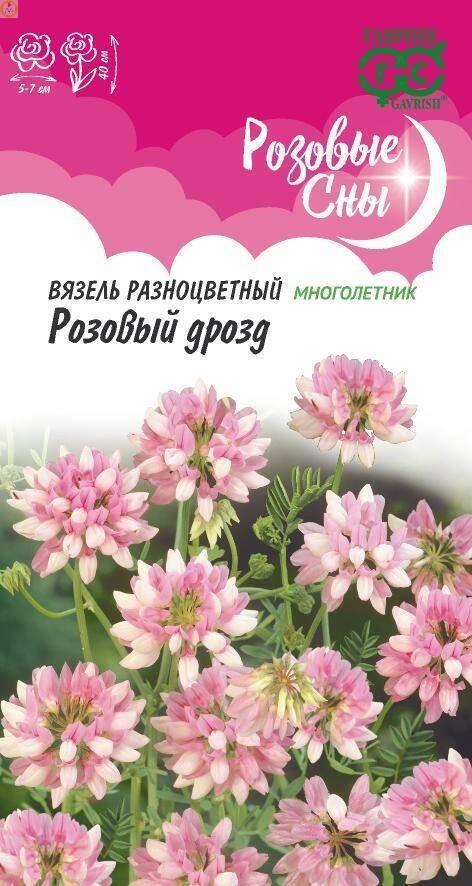 Вязель Розовый дрозд Гав