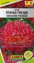 Астра Птичье гнездо лососево-розовая Аэл