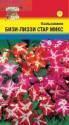 Бальзамин Бизи-Лиззи стар смесь УУ