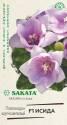 Платикодон Исида F1 крупноцвет. (Саката) серия Эксклюзив Гав