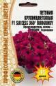 Петуния Success 360 Burgundy крупноцветковая Реш
