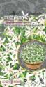 Изотома Тристар Белые звездочки СА