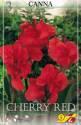 Канна Черри Ред 3 шт