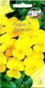 Фиалка Золотко Сед
