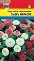Маргаритка Смесь окрасок УУ