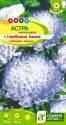 Астра Башня серебрянная СА