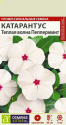 Катарантус Теплая волна Пеперминт СА