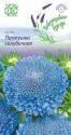 Астра Пампушка голубичная Гав
