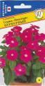 Барвинок Виктори Пурпурный Прес