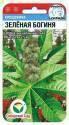 Клещевина Зеленая богиня СС