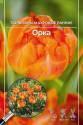 Тюльпан Орка (5шт) 11/12