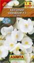 Бегония Сенатор белая вечноцветущая F1 Аэл