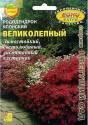 Рододендрон Великолепный японский Аэл