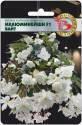 Бегония Иллюминейшн вайт F1 Био