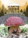 Грибы Белый гриб сосновый УД