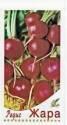 Редис Жара ССО