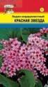 Бадан Красная звезда сердцелистный УУ