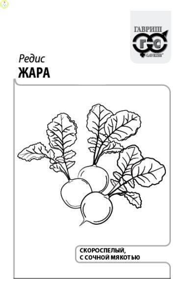 Редис Жара б/п евроотв. Гав