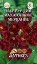 Настурция Махагоновое мерцание Арт