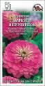 Цинния Маркиза в Пурпурном ЗС