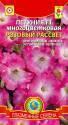 Петуния Розовый рассвет многоцветковая F1 Плз