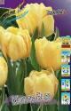 Тюльпан Монте Бью 11/12 100 шт