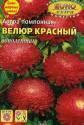 Астра Велюр красный помпонная Аэл