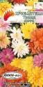 Хризантема Тренд лета индийская Аэл