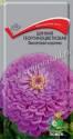Цинния Фиолетовая королева Поиск