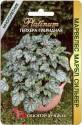 Гейхера Марвелес Марбл Сильвер Био