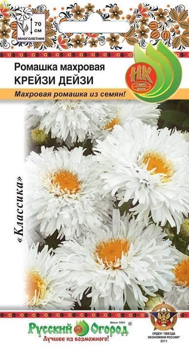 Ромашка Крейзи Дейзи махровая НК