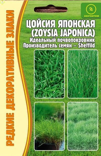 Цойсия японская Реш