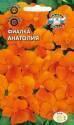 Фиалка Анатолия рогатая Сед
