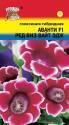 Глоксиния Аванти ред виз вайт эдж F1 УУ