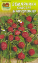 Земляника Барон Солемахер Наш