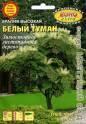 Аралия Белый туман высокая Аэл