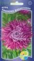 Астра Павлова фиолетовая Акв