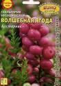 Гаультерия Волшебная ягода низкорослая БП Аэл
